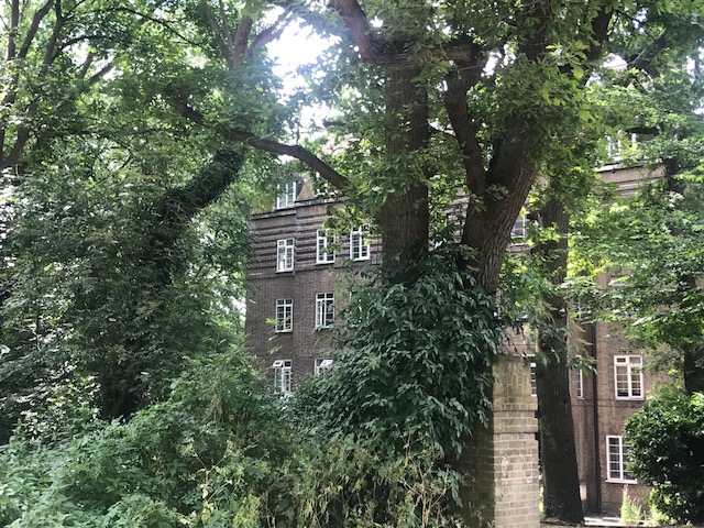 Grove House